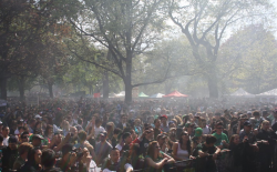 Thousands light up in Toronto for the 2010 Global Marijuana March. (Photo by Sol Sadie)